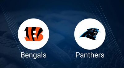 Bengals vs. Panthers: Odds, Moneyline, and Spread - Week 4