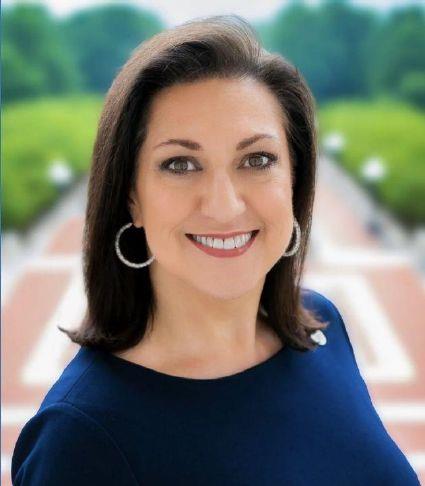 Stevenson running as Democrat for 6th District seat